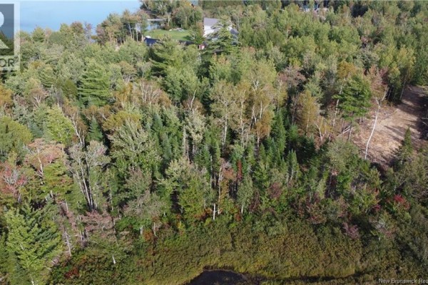 Lot Hazen Lane, Lake George, NB E6K2N9 Photo 5