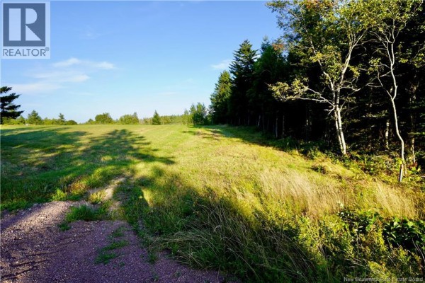 Lot Hesler, Sackville, NB, photo 3