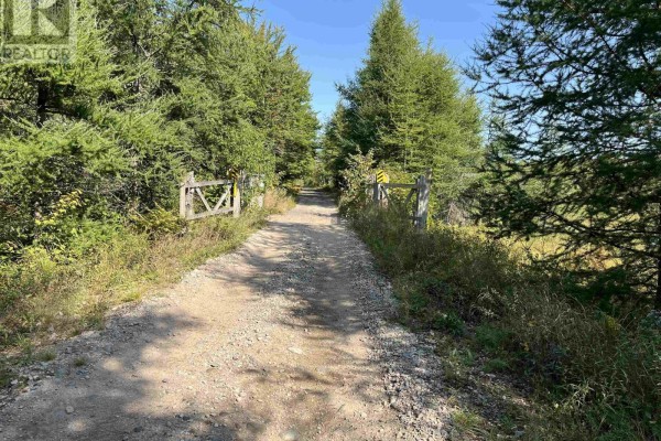 Lot Highway 10, Dalhousie, NS B0R1H0 Photo 4