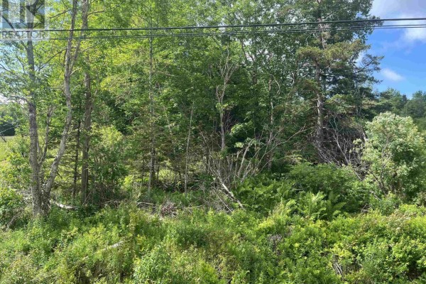 Lot Highway 10, Springfield, NS B0R1H0 Photo 3
