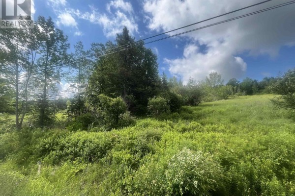 Lot Highway 10, Springfield, NS B0R1H0 Photo 4