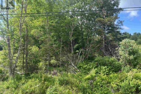 Lot Highway 10, Springfield, NS B0R1H0 Photo 5