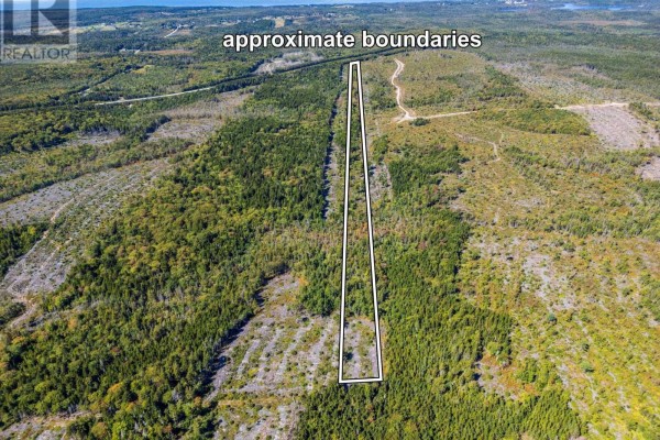 Lot Highway 101, St  Alphonse, NS B0W2J0 Photo 2