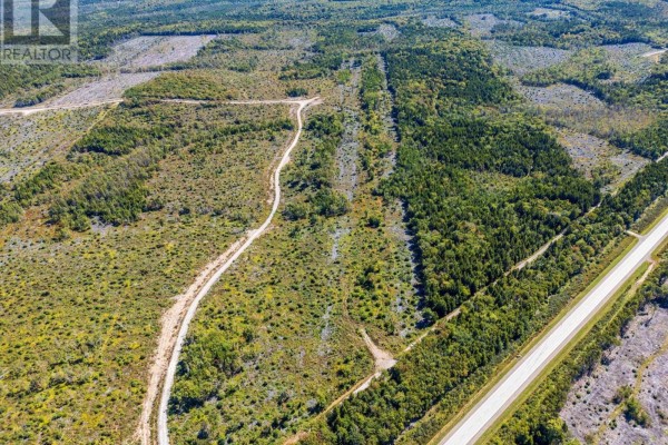Lot Highway 101, St  Alphonse, NS B0W2J0 Photo 3