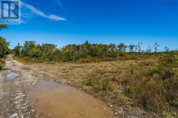 Lot Highway 101, St  Alphonse, NS B0W2J0 Photo 4