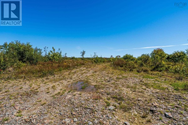 Lot Highway 101, St  Alphonse, NS B0W2J0 Photo 5