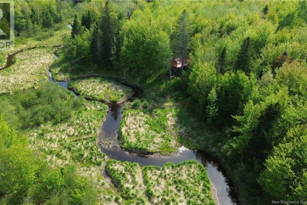 Lot Highway 134, Ward Corner, NB E4V2P3 Photo 5