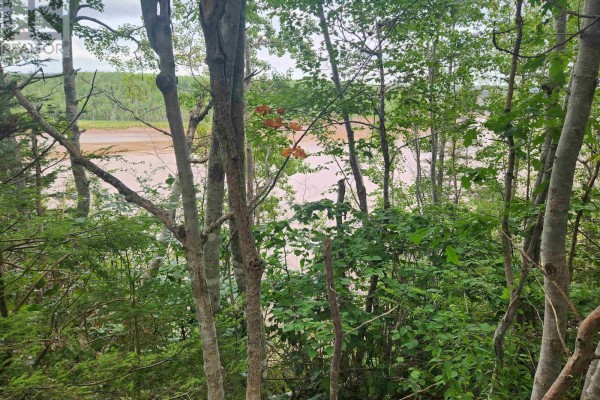 View of a wide, muddy river and distant treeline through foreground trees. - Lot Highway 215, South Maitland