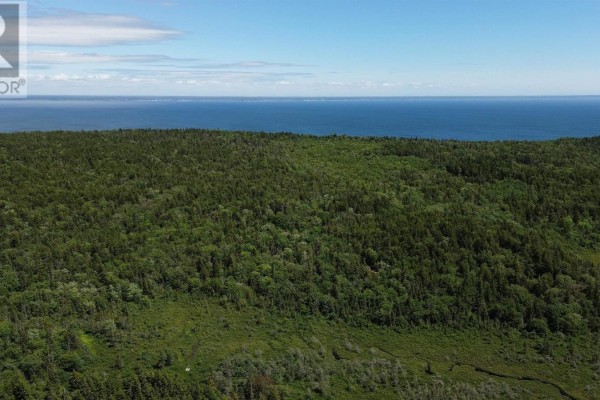 Lot Highway 217, Central Grove, NS B0V1B0 Photo 2