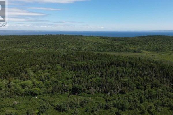 Lot Highway 217, Central Grove, NS B0V1B0 Photo 5