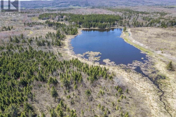 Lot Highway #7, Ashdale, NS B2G2L3 Photo 2