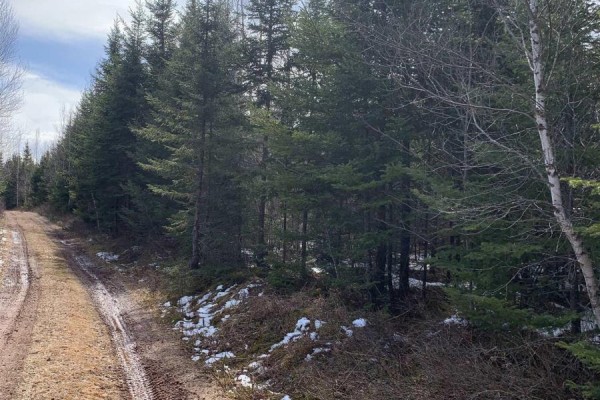 Lot Hunter West Road, Wentworth Valley Preserve, Wentworth Valley, NS B0M1Z0 Photo 3