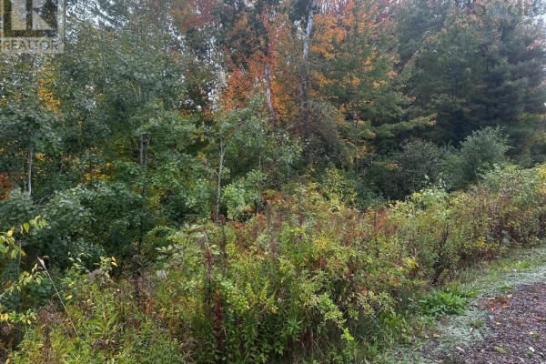 Trees with colorful fall leaves are visible behind a thick growth of bushes. - Lot Huntington Point Road, Halls Harbour