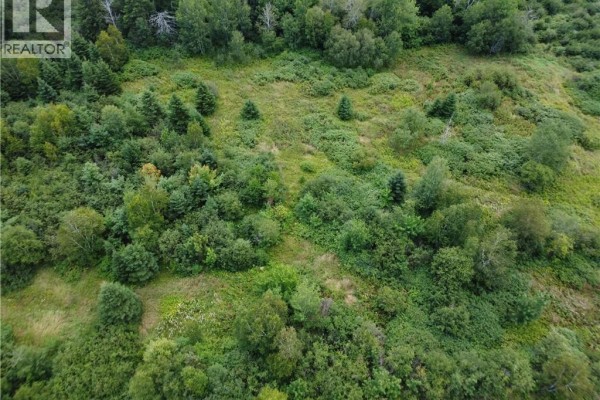 Lot Jean-louis, Tremblay, NB E8J3B8 Photo 2
