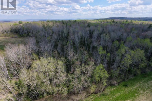 Lot Jt-90-1a2 Bishopville Road, Hants Border, NS B0P1P0 Photo 5