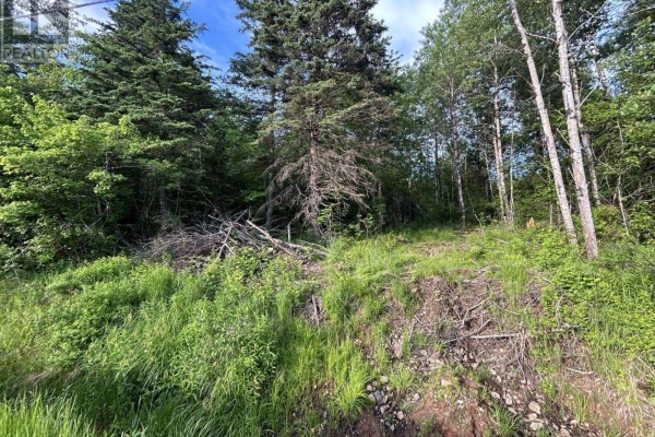 Lot K1 Greenfield Road, Greenfield, NS B4P2R1 Photo 2