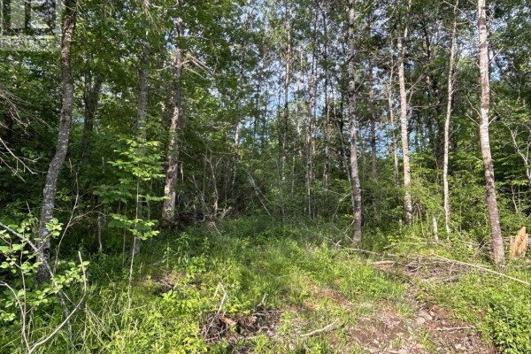 Lot K1 Greenfield Road, Greenfield, NS B4P2R1 Photo 4