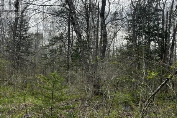 Lot K1 Greenfield Road, Greenfield, NS B4P2R1 Photo 5