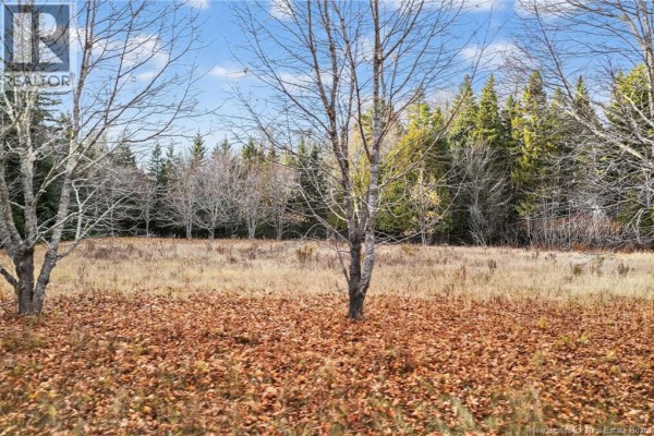 Lot Kay Road, Saint Antoine, NB E4V2S4 Photo 5