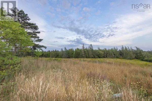 Lot Lake George Road, Lake George, NS B0W3E0 Photo 5