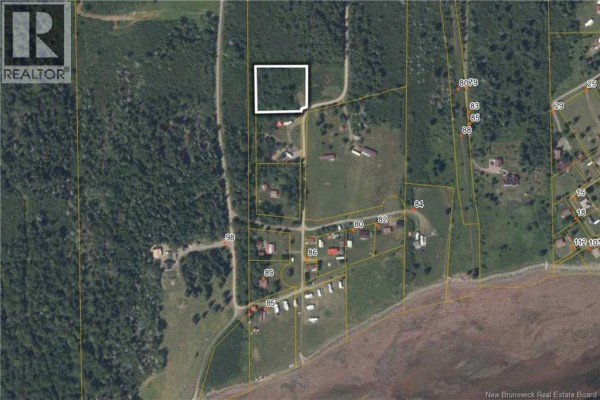 Lot Lloyd Allen Lane, Upper Cape, NB, photo 3