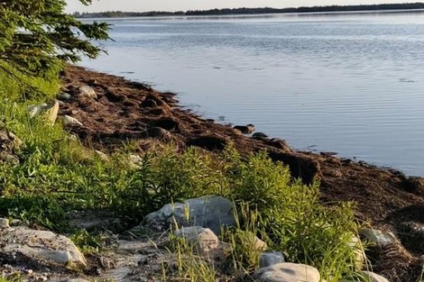 Lot M-3 2640 West Sable Road, Little Harbour, NS B0T1V0 Photo 3