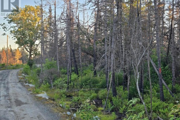 Lot M-3 2640 West Sable Road, Little Harbour, NS B0T1V0 Photo 4