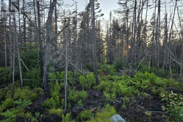 Lot M-3 2640 West Sable Road, Little Harbour, NS B0T1V0 Photo 5