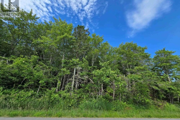 Lot Main Shore Road, North Chegoggin, NS B5A5H3 Photo 2