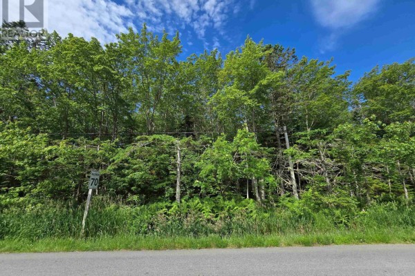 Lot Main Shore Road, North Chegoggin, NS B5A5H3 Photo 3