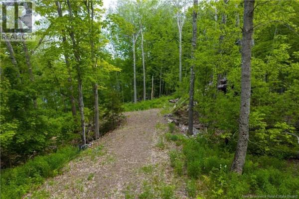 Lot Main Street, Hampton, NB E5N7G9 Photo 4