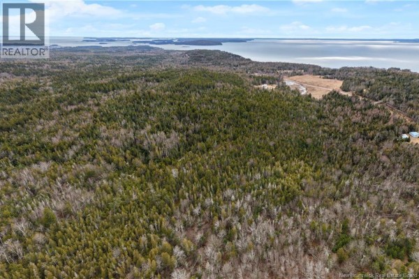 Lot Mascarene Road, Mascarene, NB E5C2R9 Photo 3