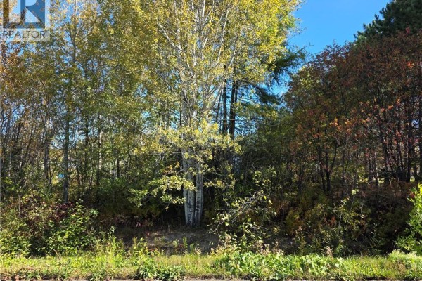Cleared grassy lot with trees along the boundary, bright blue sky above. - Lot Mazerolle Street, Sainte Anne De Madawaska