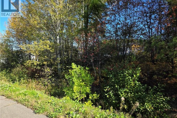 View of the lot from the street, showcasing greenery and nearby houses. - Lot Mazerolle Street, Sainte Anne De Madawaska