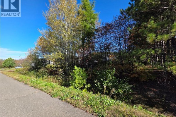 Grassy area with shadows from trees, open space leading to residential buildings. - Lot Mazerolle Street, Sainte Anne De Madawaska