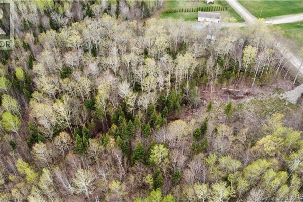 Lot Mckeaghan Road, Williamstown, NB E7K1H1 Photo 3