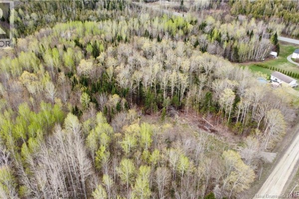 Lot Mckeaghan Road, Williamstown, NB E7K1H1 Photo 5