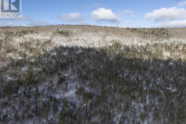 Lot Mckenzie Mountain Road, Port Royal, NS B0S1A0 Photo 2