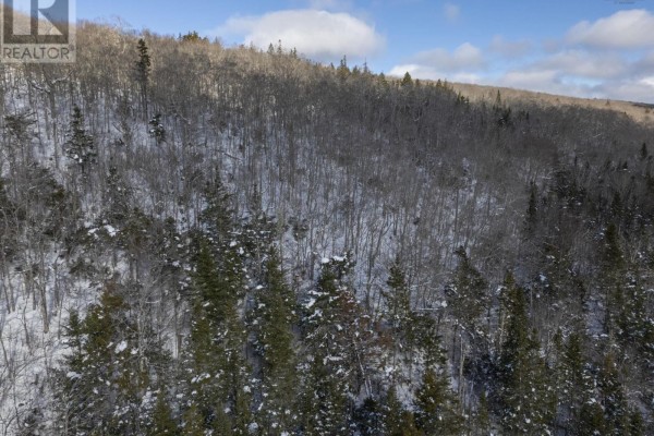 Lot Mckenzie Mountain Road, Port Royal, NS B0S1A0 Photo 5