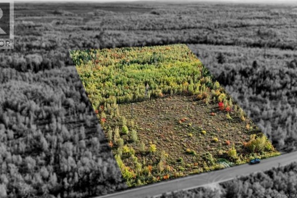 Lot Middlesex Road, Colpitts Settlement, NB E4J1G7 Photo 2