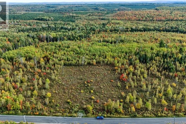 Lot Middlesex Road, Colpitts Settlement, NB E4J1G7 Photo 3