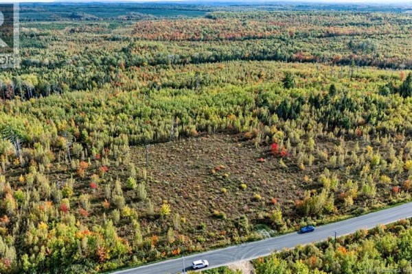 Lot Middlesex Road, Colpitts Settlement, NB E4J1G7 Photo 5
