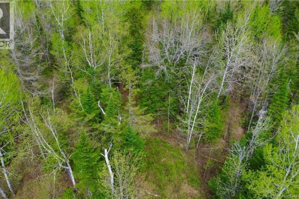 Lot Newburg Road, Newburg, NB E7N1N5 Photo 3