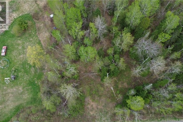 Lot Newburg Road, Newburg, NB E7N1N5 Photo 5