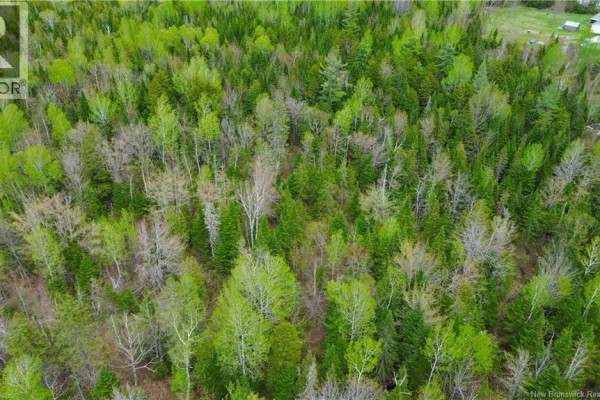 Lot Newburg Road, Newburg, NB E7N1N5 Photo 2