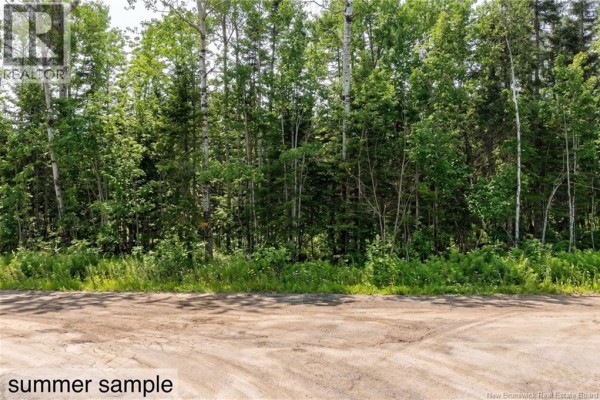 Aerial view of property boundaries outlined in red, surrounded by dense forest - Lot Newport Drive, Boundary Creek