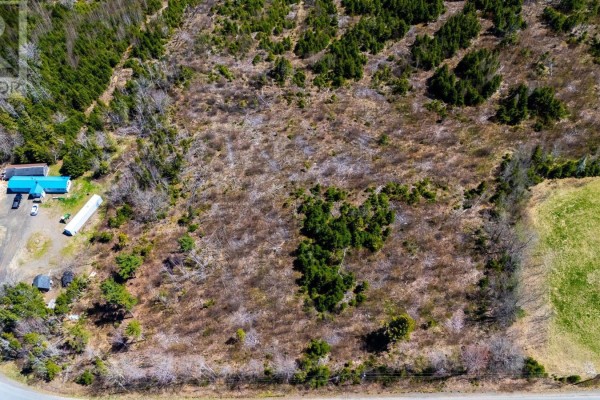Lot Newtonville Road, Forest Hill, NS B4P2R1 Photo 3