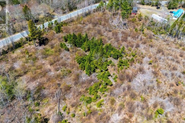 Lot Newtonville Road, Forest Hill, NS B4P2R1 Photo 4