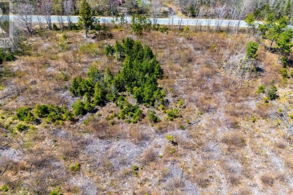Lot Newtonville Road, Forest Hill, NS B4P2R1 Photo 5