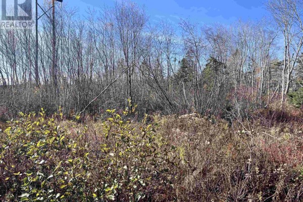 Lot No 3 Highway, Lydgate, NS B0T1L0 Photo 2